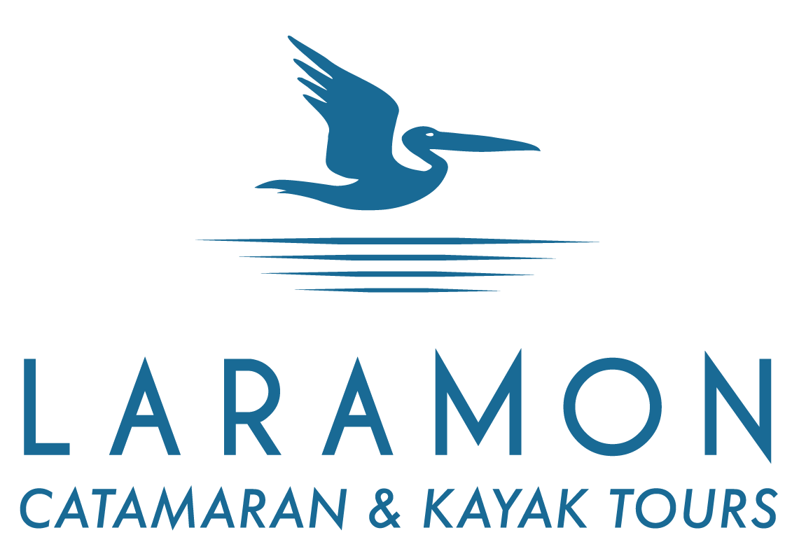 Partners - Laramon Tours Logo - Landing page - blue