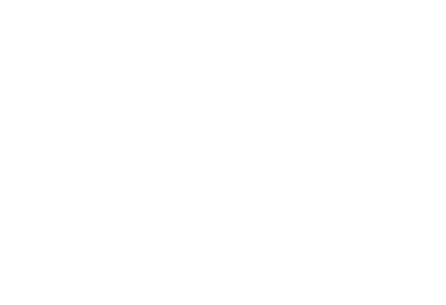 Partners - Laramon Tours Logo - Landing page
